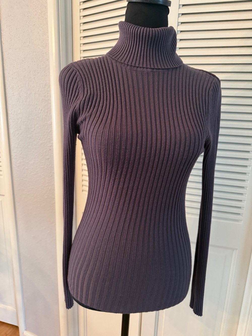 Say What? Ribbed Turtleneck in Deep Plum